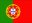 International driver license in Portugal
